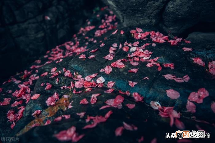 刘伯温的最好作品，刘伯温的无题诗妙趣横生