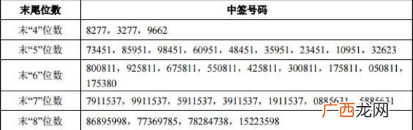九号公司689009中签号码公布查询