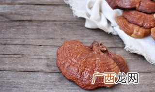 灵芝怎么煮水喝 养身灵芝煮水的正确做法和饮用方式