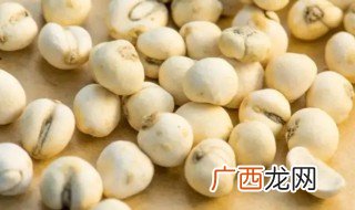 川贝怎么保存方法 川贝如何保存