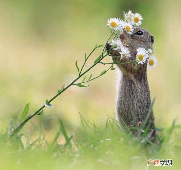 经典暖心的早安说说 一句早上好暖心的话
