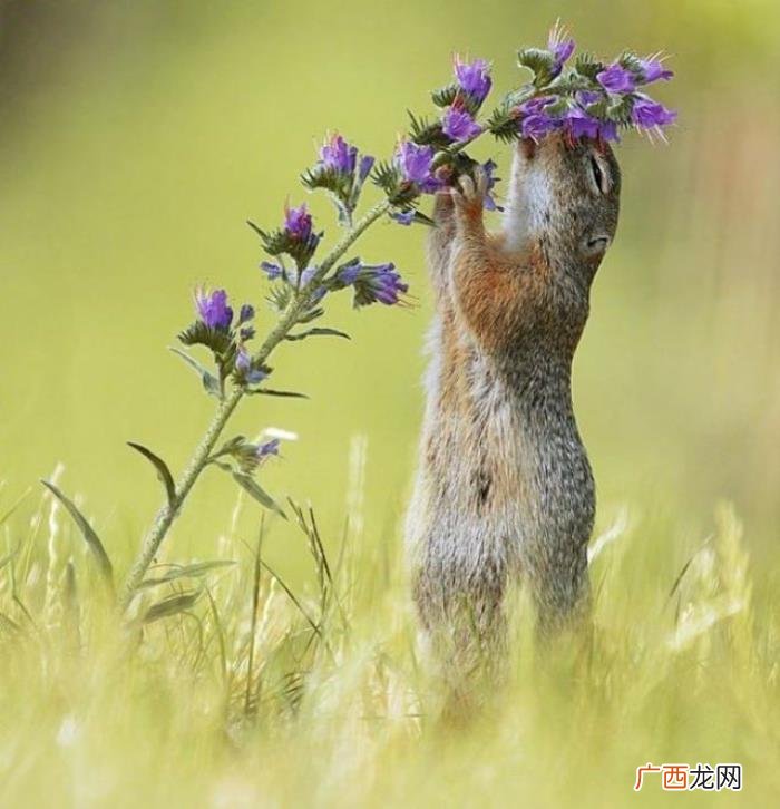 经典暖心的早安说说 一句早上好暖心的话