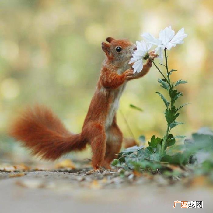 经典暖心的早安说说 一句早上好暖心的话