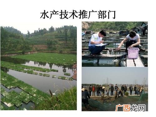 水产养殖学就业薪酬和待遇 水产养殖专业薪资