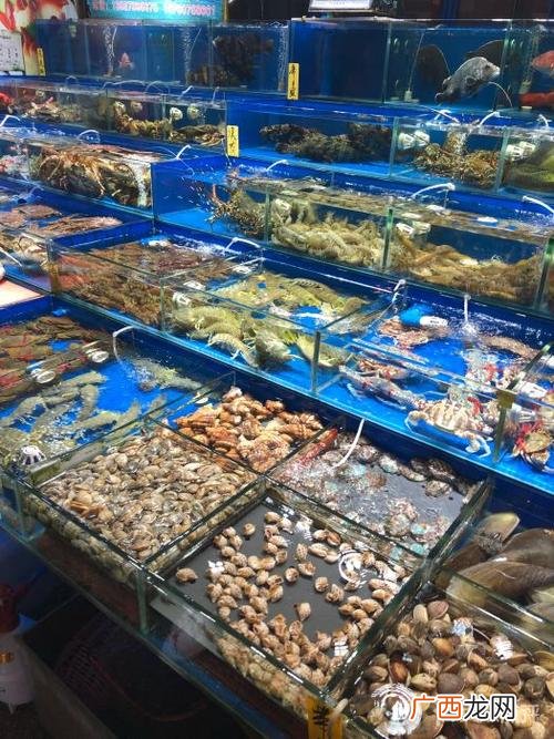 水产药品批发市场在哪里 水产药品批发网