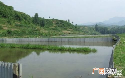 鱼苗培育技术 水产育苗池建造
