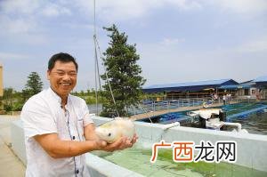 顺德鱼批发市场在哪里 顺德生生水产