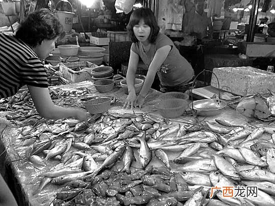 苏州冷冻食品批发市场在哪里 苏州冻品水产批发价