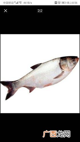 威海哪里批发海鲜便宜 威海哪水产品便宜