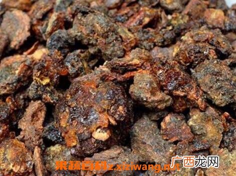 中药没药的功效与作用及禁忌