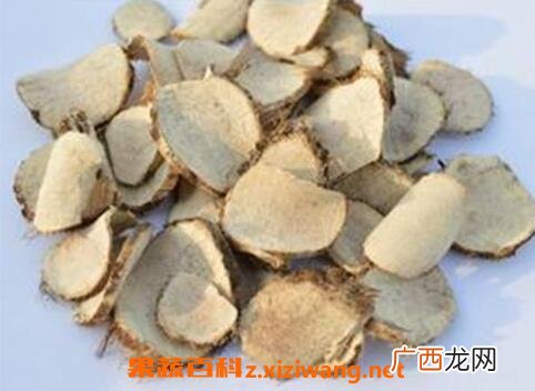 中药三陵的功效与作用及禁忌