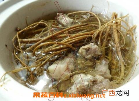虎尾轮的功效与作用 虎尾轮与什么相克