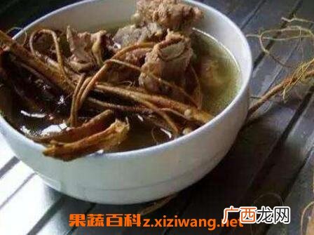 虎尾轮的功效与作用 虎尾轮与什么相克