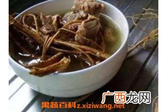 虎尾轮的功效与作用 虎尾轮与什么相克