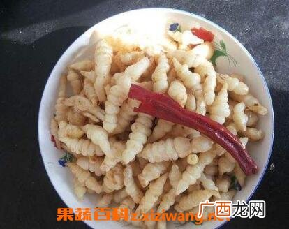 野生地环的功效与作用