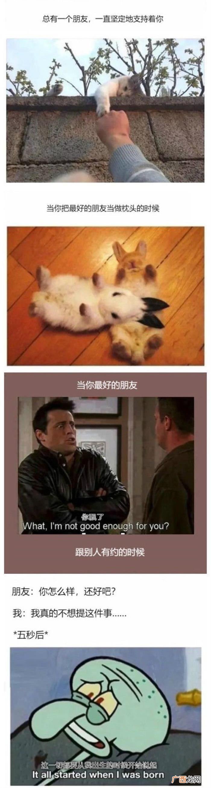 死党和闺蜜的区别，这就是死党和普通朋友的区别