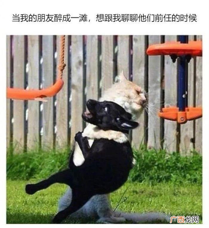 死党和闺蜜的区别，这就是死党和普通朋友的区别