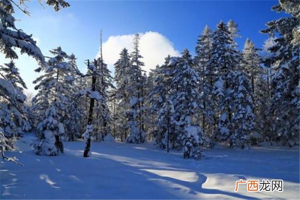 国内适合冬天旅游度假的八个地方