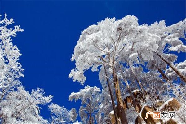 国内适合冬天旅游度假的八个地方