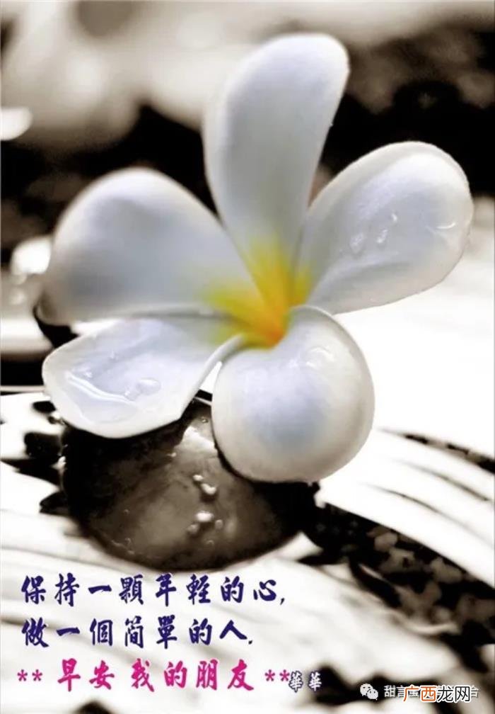 情意深重的早安情话短信 早上发的情话暧昧