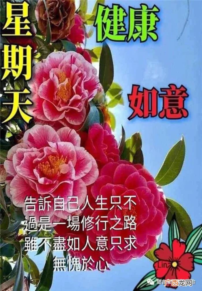 情意深重的早安情话短信 早上发的情话暧昧