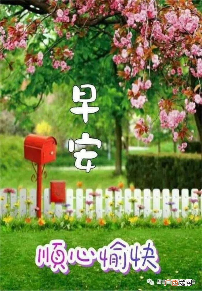 情意深重的早安情话短信 早上发的情话暧昧