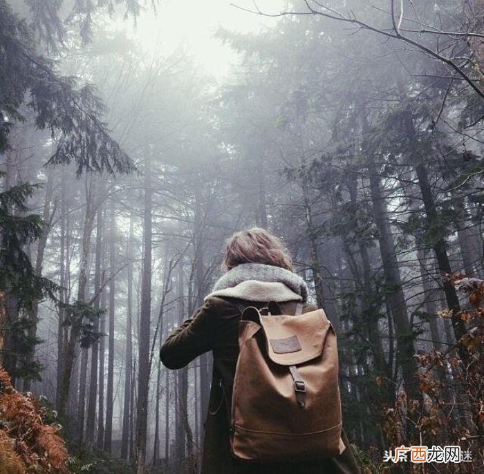 最动人伤感的情话短句 伤感情话短句