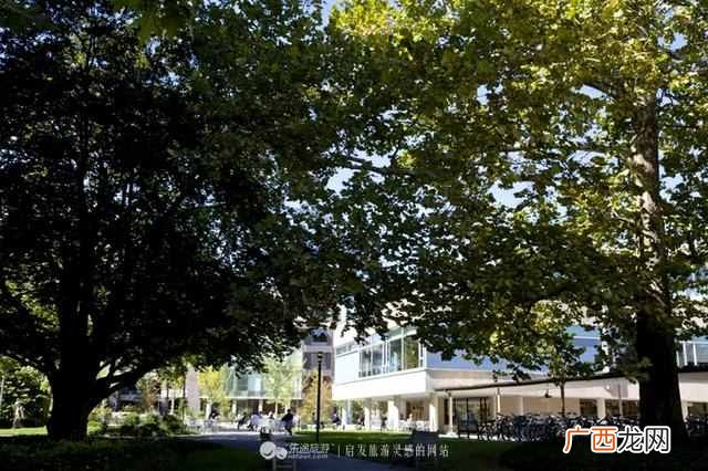 美国哈佛大学到底好在哪里(美国哈佛大学校内
