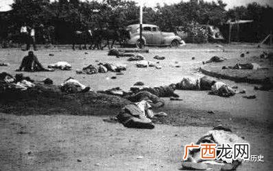 花卉的象征 花卉商会成立意义