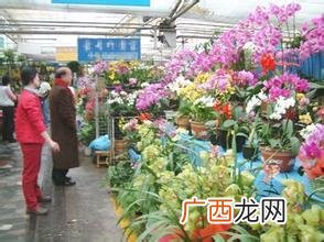 斗南花卉市场 昆明斗南花卉拍卖中心进得去吗
