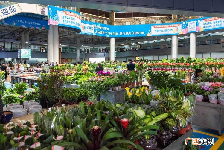 斗南花卉市场 昆明斗南花卉拍卖中心进得去吗