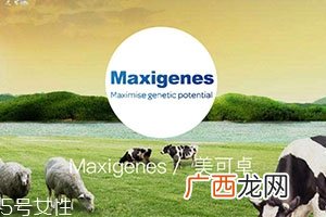 蓝胖子奶粉适合什么人？成人可以喝吗？