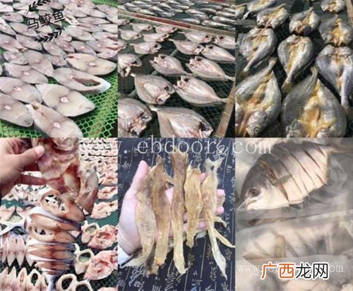 舟山工厂最多的是哪里 浙江舟山水产厂