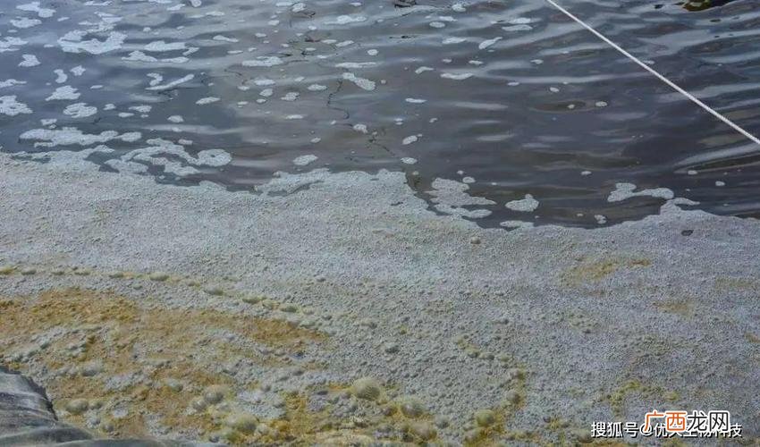 重金属镉超标对人体的危害 重金属铜对水产的危害