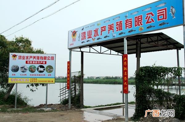 水产类个体户怎么起名字 水产品公司名字大全