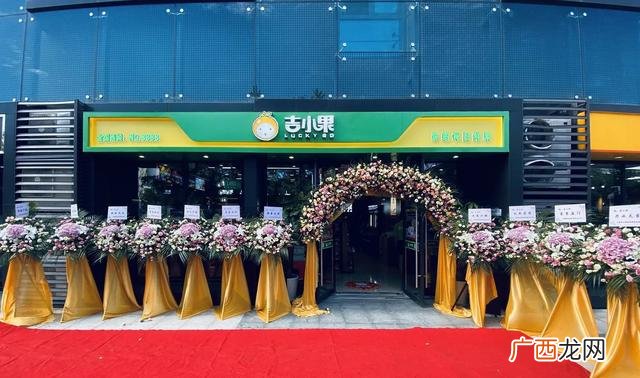 9元一斤自助水果加盟 切好水果10块加盟店
