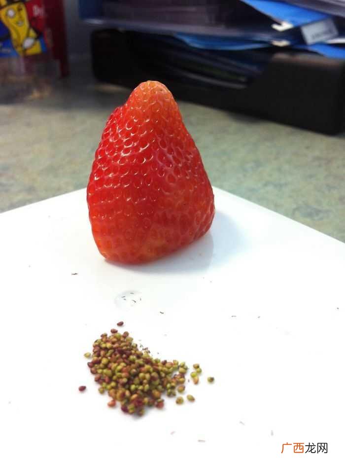 人究竟能无聊到什么程度 好无聊的图片