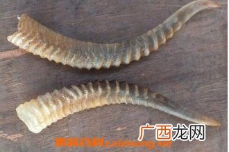 羊角的药用价值与副作用