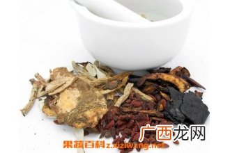 梅根的功效与作用及药用价值
