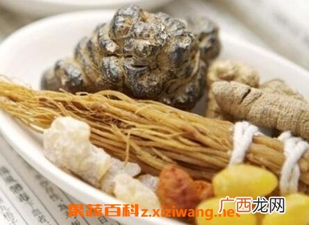 梅根的功效与作用及药用价值