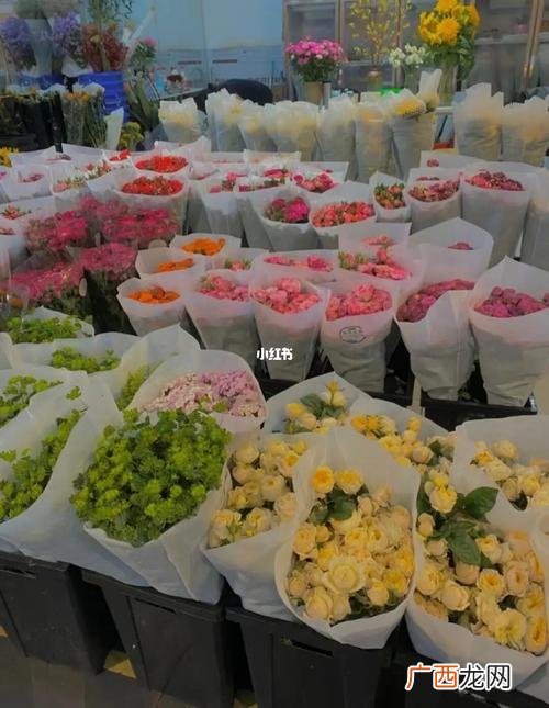 花卉市场批发各种花价 云南花卉进货