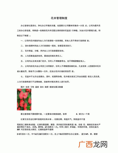 公司植物租赁花卉 植物花卉出租