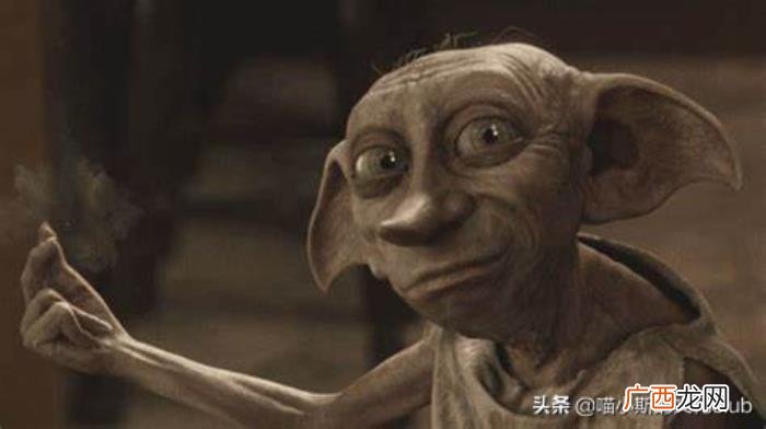 送袜子代表什么意思,袜子在魔法世界的象征意义