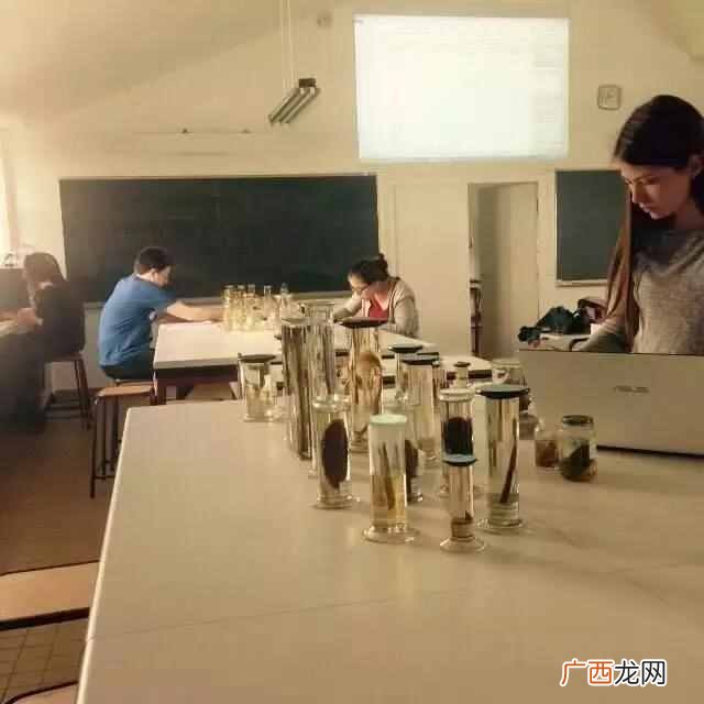 法国南特大学什么时候建立的（法国南特大学简