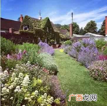 伯明翰大学位于哪个城市（英国伯明翰大学为什