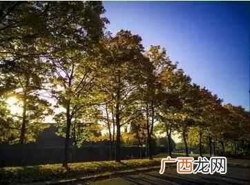 伯明翰大学位于哪个城市（英国伯明翰大学为什