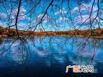 伯明翰大学位于哪个城市（英国伯明翰大学为什