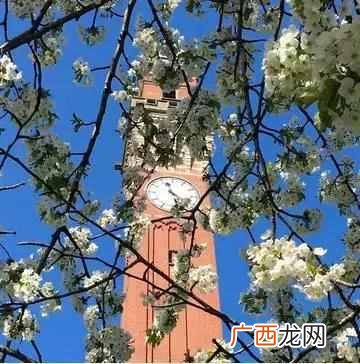伯明翰大学位于哪个城市（英国伯明翰大学为什