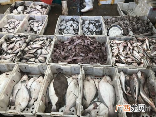 山东青岛有哪些工厂 山东青岛水产厂