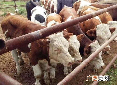 养殖什么水产品利润大 今年大暴利水产养殖